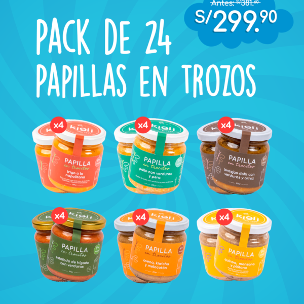 Pack de 24 papillas en trocitos 185g